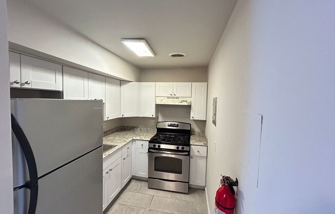 Renovated 1 bdrm, 1 bath Apt