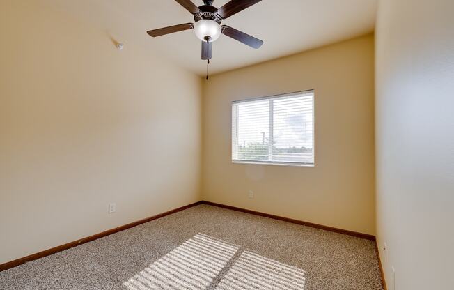 Bedroom with Plush Carpeting