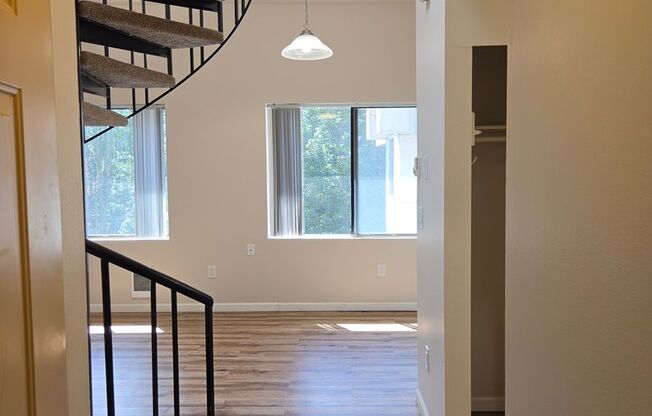 1 bed, 1 bath, 500 sqft, $1,695, Unit 401