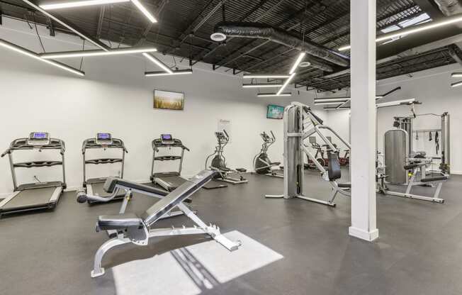 a gym with cardio machines and other exercise equipment at chestnut