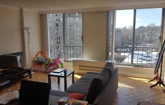 Studio, 1 bath, 500 sqft, $2,500, Unit 808