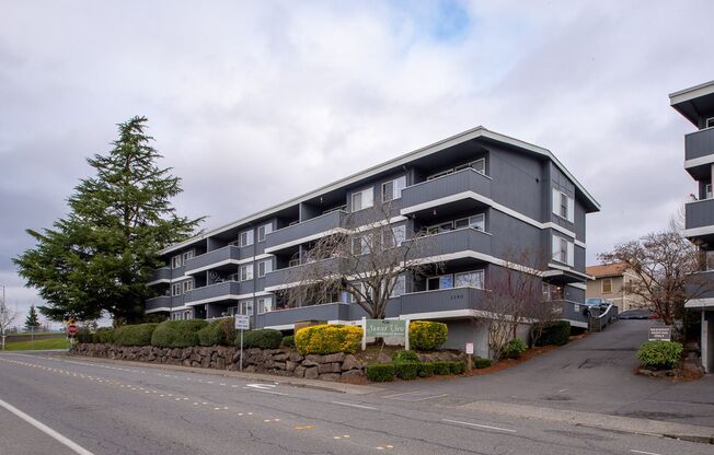 Updated Large 1 bed 1 bath Updated Unit in Convenient Renton Location!!