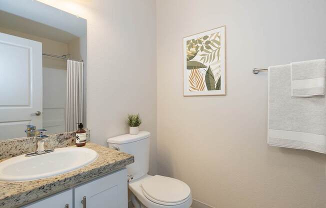 A bathroom with a toilet, sink, and a picture on the wall.