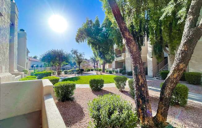 A sunny day in a well-maintained garden with trees and bushes.