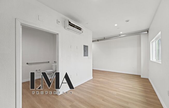 Studio, 1 bath, 500 sqft, $1,238, Unit 206