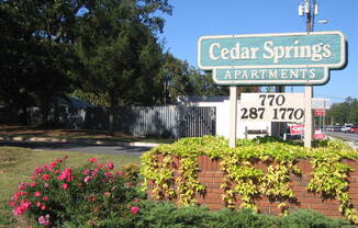 Partner-provided photo for $1175 unit