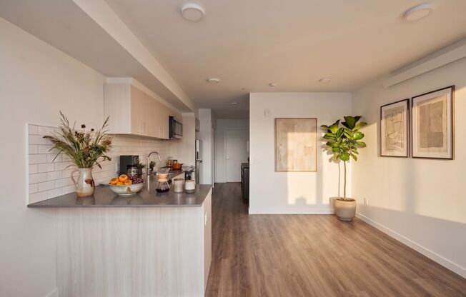 Studio, 1 bath, 431 sqft, $1,513, Unit 410 MFTE