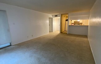4837 CEDAR SPG DR