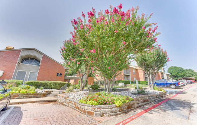 A red flowering tree in front of a brick building at Copper Hill Apartments, Bedford