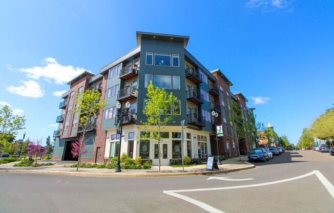 Studio, 1 bath, 596 sqft, $1,350, Unit 207