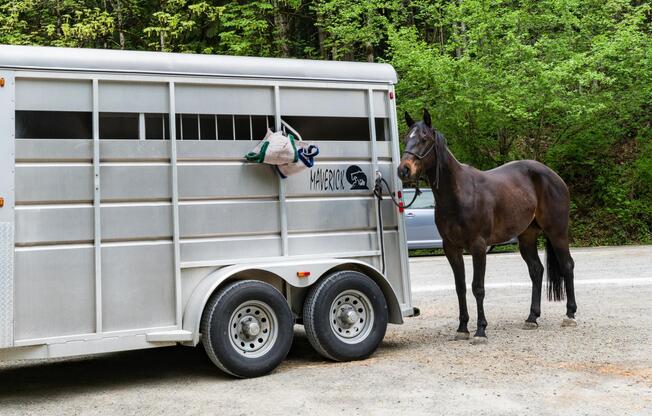 Equestrian setting near Bridle Trails with nearby riding paths and wooded routes, connecting residents to a distinct outdoor lifestyle shaped by horses.