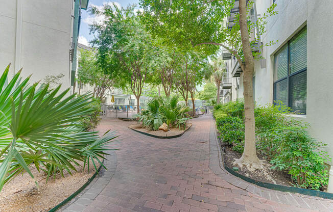 Courtyard Walking Path at Vue Fitzhugh, Dallas, TX, 75204