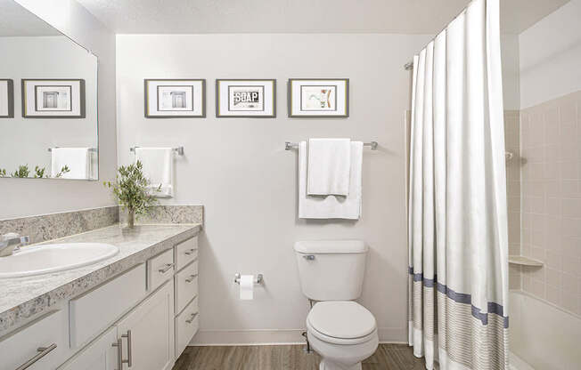 A bathroom with a large vanity and bathtub and shower at North Pointe Apartments, Elkhart
