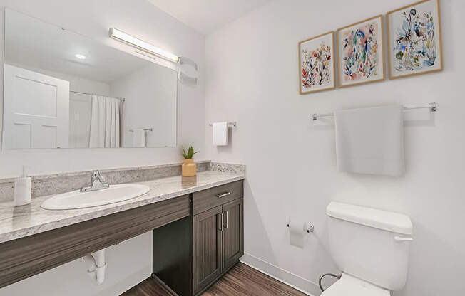 A bathroom with a toilet, sink, mirror, and pictures on the wall at Copper Creek Apartment Homes, Maize, Kansas