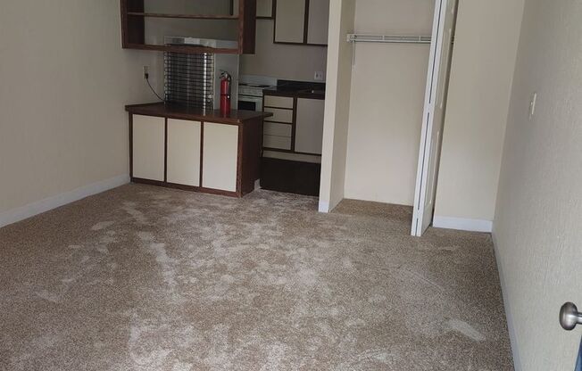 Studio, 1 bath, 288 sqft, $800, Unit Unit 208