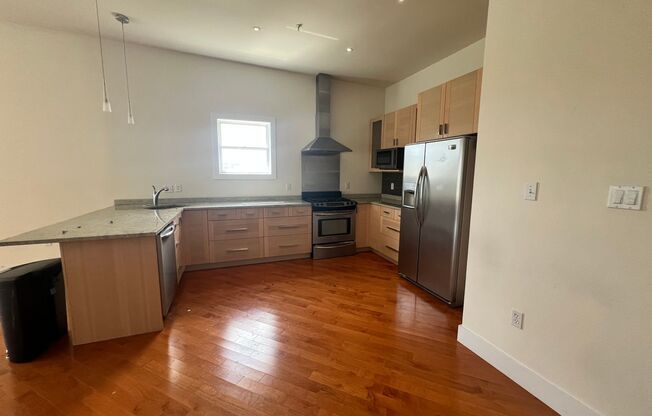 Stunning 2 BR/2 BA Penthouse Condo in Shaw!