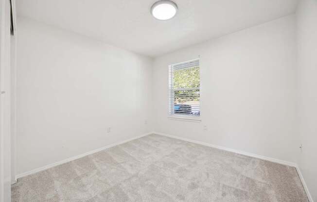 A room with a window and carpeted floor.