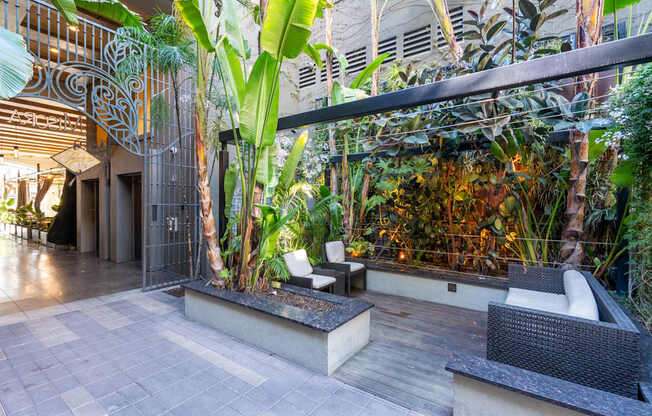 A patio with a table and chairs surrounded by plants.