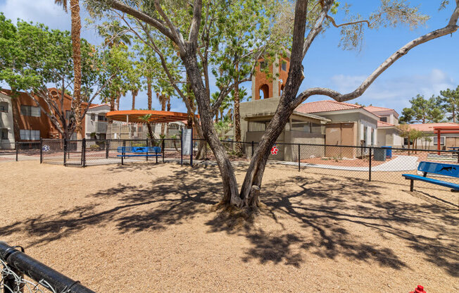 a park with a tree and benches in front of a building