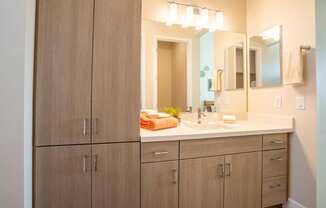 Custom vanity with floor to ceiling cupboards and a large counter sink with storage below in an apartment at Village Greens of Queen Creek