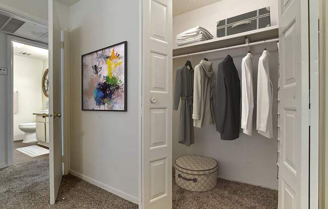 Lakeshore Landing Closet