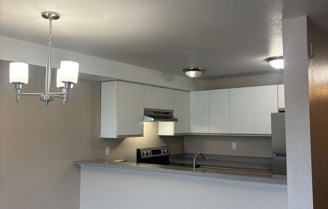 1 bed, 1 bath, 715 sqft, $2,045, Unit 307