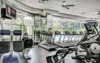 1 bed, 1 bath, $1,550