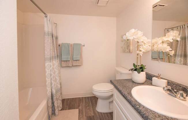 River Pointe model 2x2 second bathroom