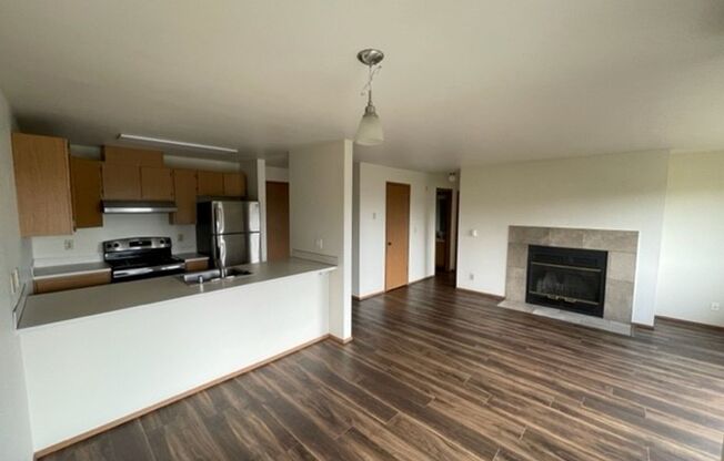 (1K) Kristine Apartments