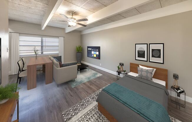 Studio, 1 bath, $590, Unit 218