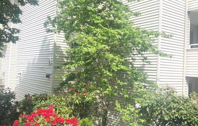 1 bed, 1 bath, 660 sqft, $1,695, Unit 410B