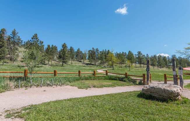 Gravel Hiking Trail with View of Many Trees, Wood Fence