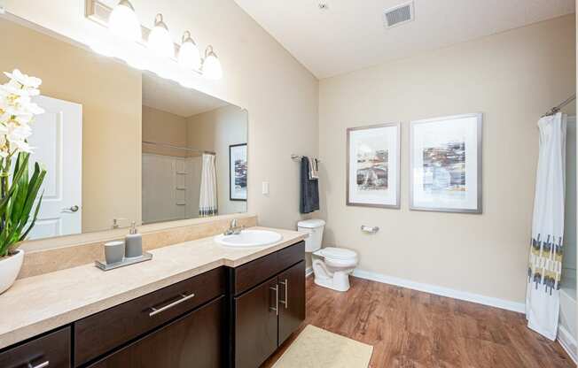 a bathroom with a sink and a toilet and a mirror