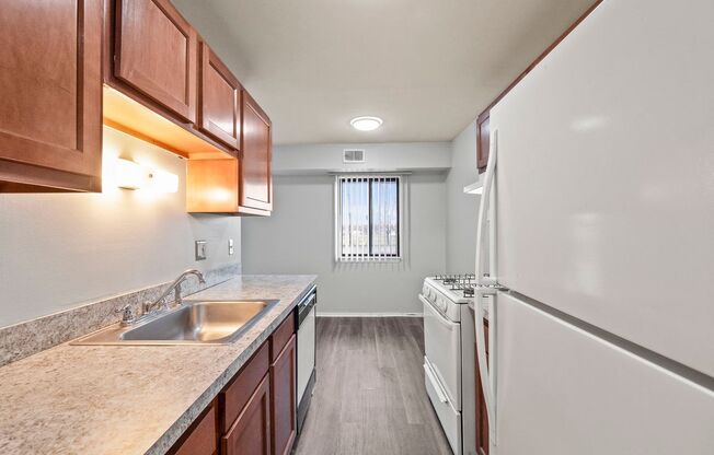 1 bed, 1 bath, $950