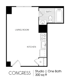 Studio, 1 bath, 300 sqft, $839