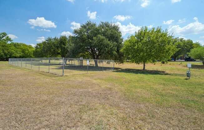 A fenced field with trees and a mailbox.