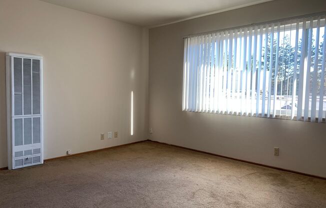 971 Whitethorne Drive