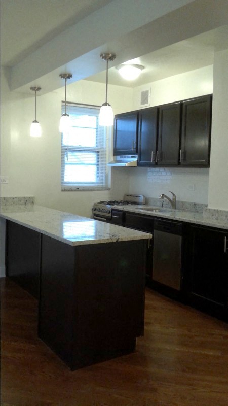 Remodeled Kitchen at 14 West Elm Apartments, Chicago,Illinois