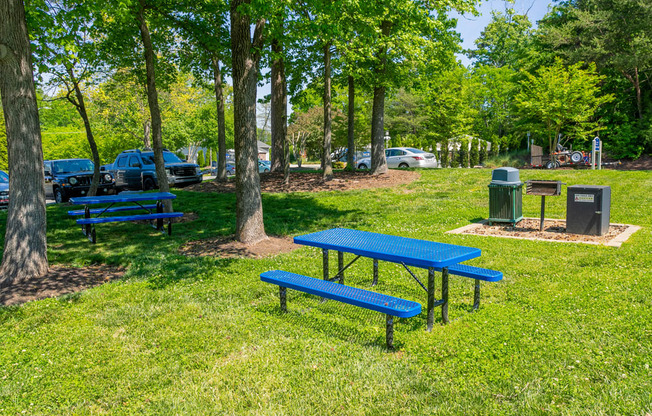 Picnic Spot at West Pointe Apartments, Burlington, North Carolina