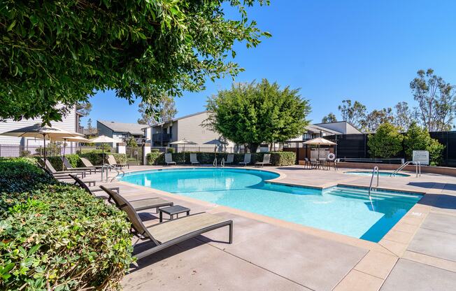 A pool surrounded by trees and bushes with a clear blue sky.