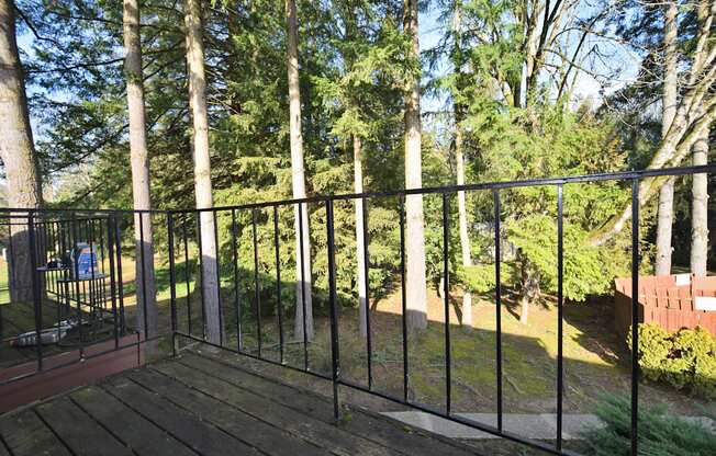 a view of the backyard from the deck