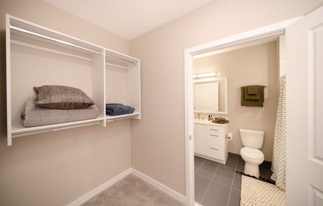 View from walk-in closet to bathroom