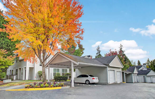 A tree with orange leaves is in front of a building.