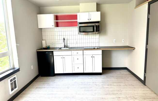 Studio, 1 bath, 258 sqft, $1,350, Unit 505
