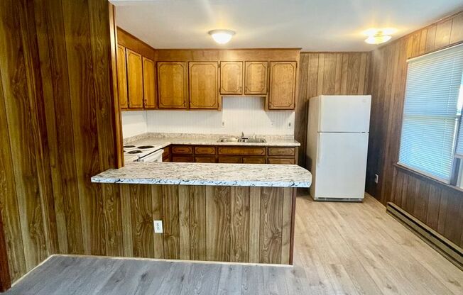 Must see Newly renovated 1 bedroom 1 bath apartment . Located in Dallas
