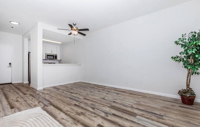 A spacious, well-lit living area with light-colored walls and laminate flooring. The room features a ceiling fan and a small potted plant in the corner. An open kitchen area with modern appliances is partially visible in the background. The overall atmosphere is clean and inviting.