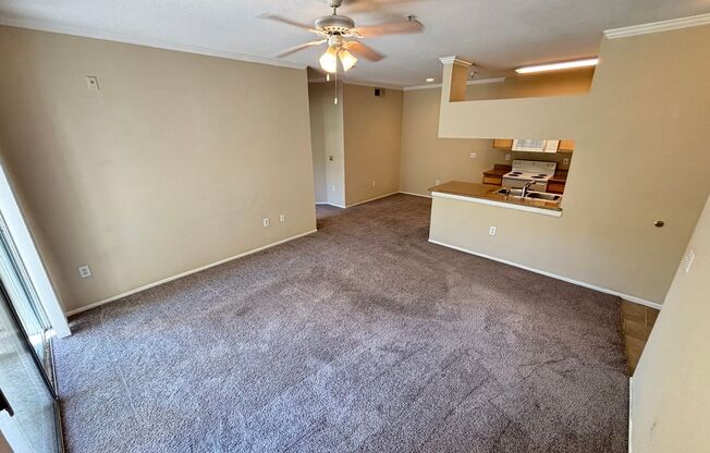 1 bed, 1 bath, $1,295, Unit # 1713