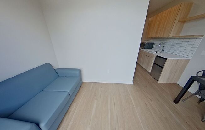 Studio, 1 bath, 314 sqft, $1,250, Unit 312