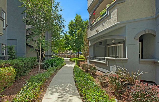 Broadleaf Apartments  |  Apartment Balcony with View of Grounds