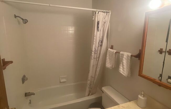 2 beds, 1 bath, 750 sqft, $900, Unit 1206-13